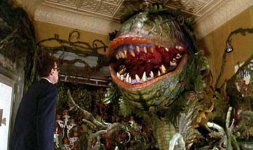 little-shop-of-horrors.jpg little-shop-of-horrors.jpg