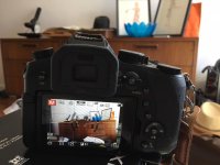 IMG_7640.jpg