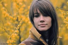francoise_hardy_08_reference.jpg francoise_hardy_08_reference.jpg