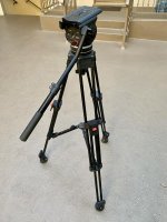 IMG_6556.jpg