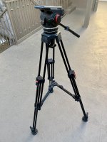 IMG_6553.jpg