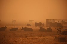11fire-photos-27-mobileMasterAt3x.jpg