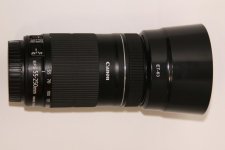 IMG_5908.jpg