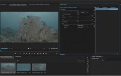 Screen Shot 2018-04-15 at 11.03.11 AM.jpg