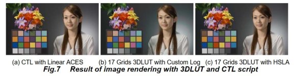 LOG vs LUTs.jpg