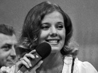 13.jpg 13.jpg