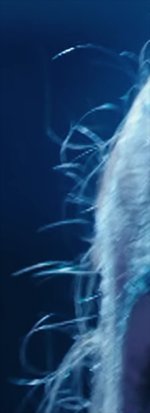 C700FFHairAliasing.jpg