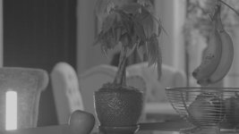 DOF_testing_1B.jpg DOF_testing_1B.jpg