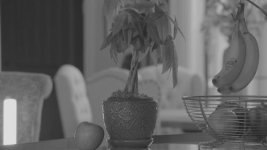 DOF_testing_1A.jpg DOF_testing_1A.jpg