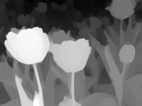 image-9.png image-9.png
