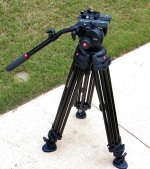 IMG 1.jpg