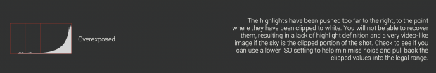 Screen Shot 2022-08-06 at 2.45.52 AM.png