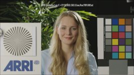 ARRI Isabella Log C CY LUT.jpg