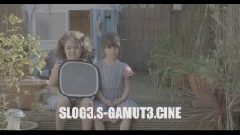SLOG-3.S-Gamut3.Cine Garden girls.jpg