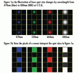 fig-1-fls.gif fig-1-fls.gif