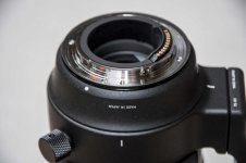 Sigma_70-200mm_08.jpg