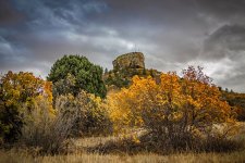 IMG_3492-SMALL.jpg