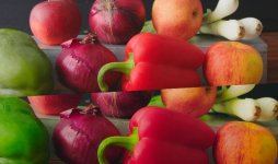 froot01.JPG