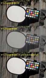 Click image for larger version  Name:	SLOG3 - S-Cinetone LUT comp [small].jpg Views:	0 Size:	63.5 KB ID:	5704324