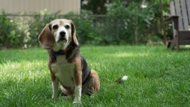 Click image for larger version Name: NO LUT_1.8.1.jpg Views: 0 Size: 84.1 KB ID: 5704760 Click image for larger version Name: NO LUT_1.8.1.jpg Views: 0 Size: 84.1 KB ID: 5704760