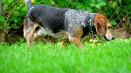 Click image for larger version Name: LUT HC_1.8.2.jpg Views: 0 Size: 97.3 KB ID: 5704765 Click image for larger version Name: LUT HC_1.8.2.jpg Views: 0 Size: 97.3 KB ID: 5704765
