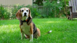 Click image for larger version Name: LUT HC_1.8.2.jpg Views: 0 Size: 97.3 KB ID: 5704765 Click image for larger version Name: LUT HC_1.8.2.jpg Views: 0 Size: 97.3 KB ID: 5704765