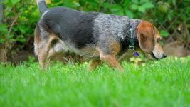 Click image for larger version Name: LUT HC_1.8.2.jpg Views: 0 Size: 97.3 KB ID: 5704765 Click image for larger version Name: LUT HC_1.8.2.jpg Views: 0 Size: 97.3 KB ID: 5704765