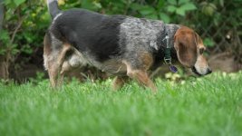Click image for larger version Name: LUT HC_1.8.2.jpg Views: 0 Size: 97.3 KB ID: 5704765 Click image for larger version Name: LUT HC_1.8.2.jpg Views: 0 Size: 97.3 KB ID: 5704765
