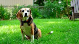 Click image for larger version Name: LUT HC_1.8.2.jpg Views: 0 Size: 97.3 KB ID: 5704765 Click image for larger version Name: LUT HC_1.8.2.jpg Views: 0 Size: 97.3 KB ID: 5704765