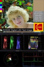 CYV Kodak LAD SLOG3 709 LUT Scopes + txt [small].jpg - Click image for larger version  Name:	CYV Kodak LAD SLOG3 709 LUT Scopes + txt [small].jpg Views:	0 Size:	63.1 KB ID:	5704829