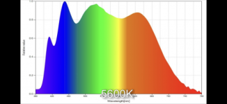 IMG_6795.png IMG_6795.png