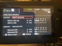 AUDIO SCREENSHOT.jpg