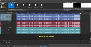 #2 Synced with two repaired audio segments Track 2 Act 2 Zoom HS.JPG