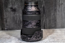 Tamron35-150mm-1001219.jpg