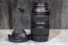 Tamron35-150mm-1001217.jpg