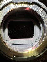 IMG_2207.JPEG