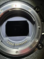 IMG_2205.JPEG