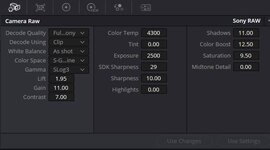 Camera RAW tab Sony.JPG