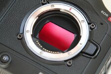 canon 3.jpg