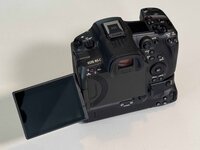 Canon R5c _7393.jpg