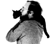 kitty_1.jpg