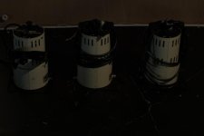 _1010925.jpg
