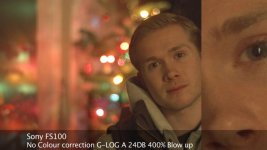 fs100 24db.jpg