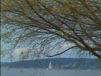 Image4.jpg