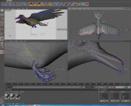 Bird_Rig.jpg