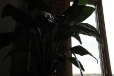 IMG_0931.jpg IMG_0931.jpg