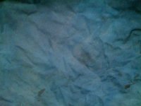 IMG_0817.jpg