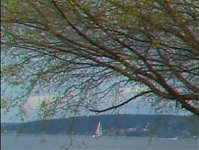 Image4.jpg