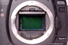 Canon_EOS_5D_Mark_II_on_microscope_sensor.JPG