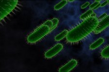 Finalsalmonella.jpg